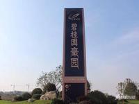 碧桂园豪园实景图11
