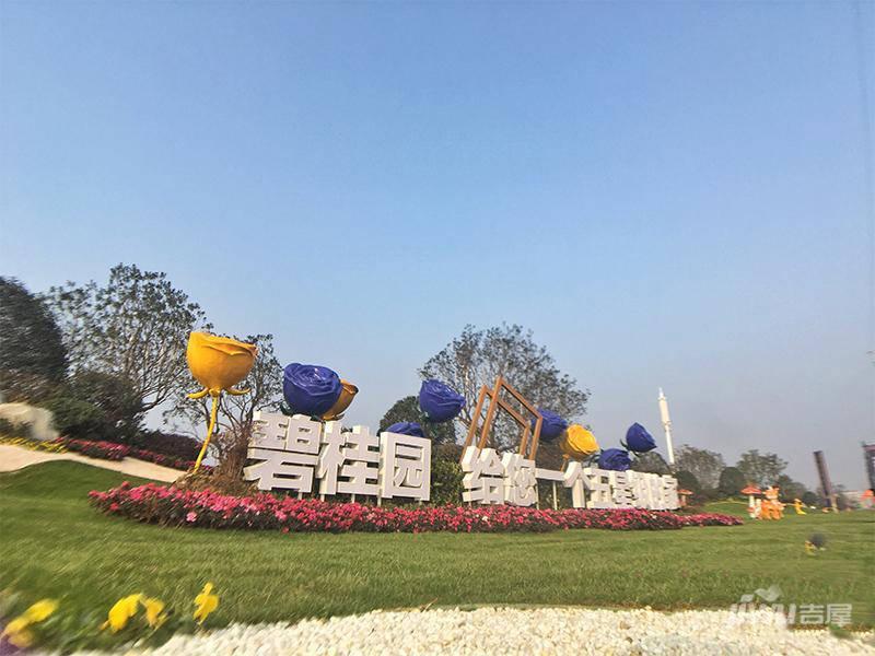 碧桂园豪园实景图8
