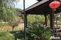 黄金福邸实景图15
