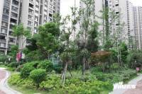 荆州新天地三期天玺实景图23