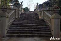 信达深林公馆实景图2